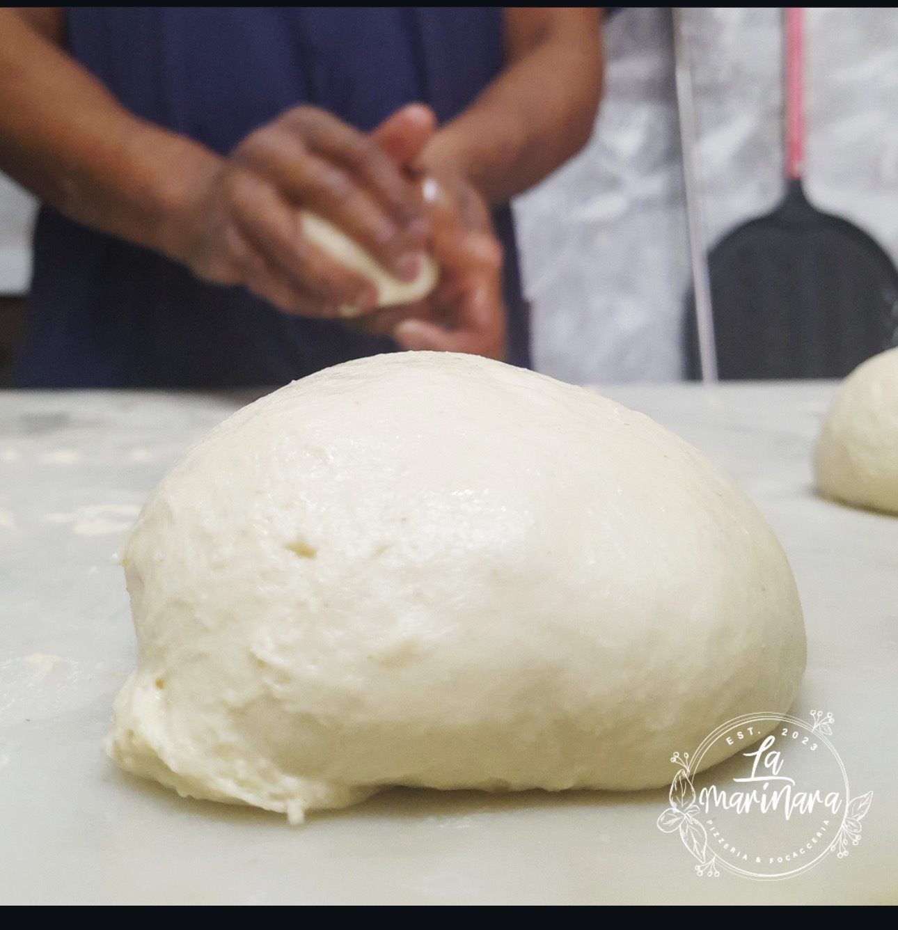 Hand-folded pizza dough proving slowly on the floured marble bench at La Marinara