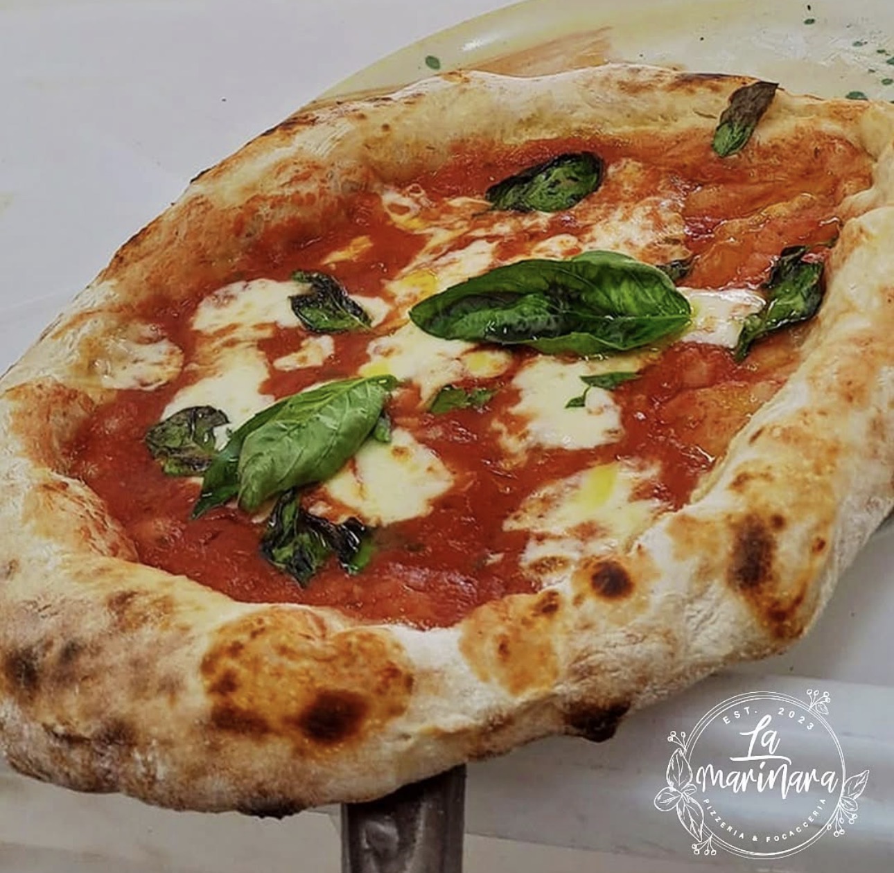 Neapolitan margherita from La Marinara Grand Baie (Mauritius), puffed leopard-spotted crust and fresh basil